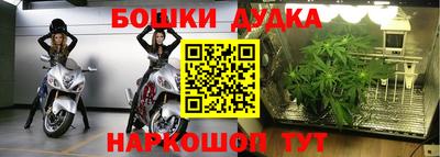 гидра Краснознаменск