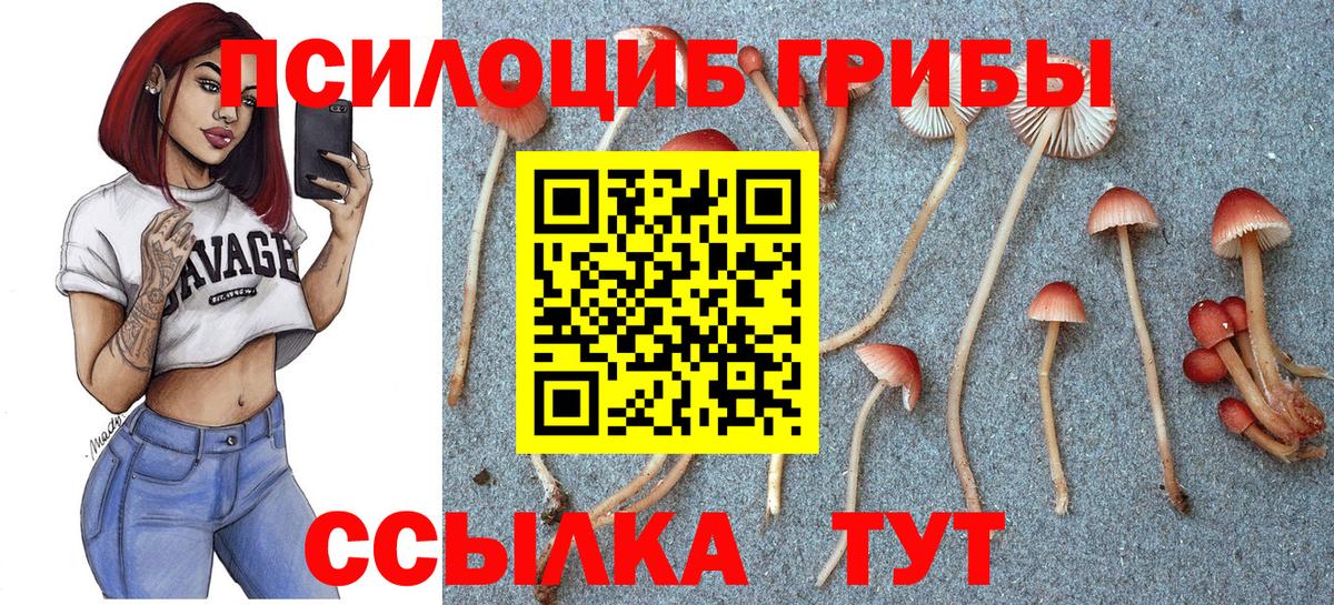 Галлюциногенные грибы Cubensis Кирово-Чепецк